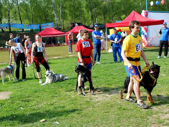 �������� ������������ ��� �� ���������� ��������� ����� � �����