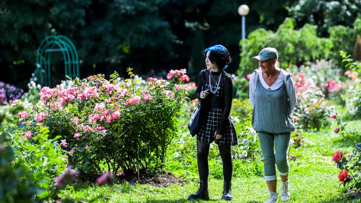 ���� �������� ������ �������� �� ������� ��� �������� ����