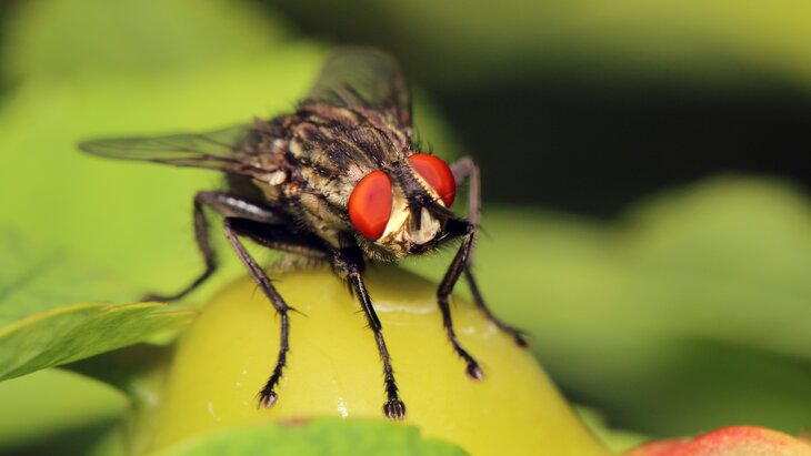 ��������� ��������� ��������� ����� ������������� ��������� � ������ ���� � ������