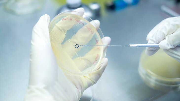 � ������ ������ ����� ������� � ����� �������������� �������