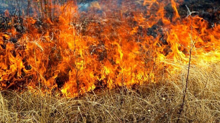 ��� ������������ � ������� ��������������� � ������