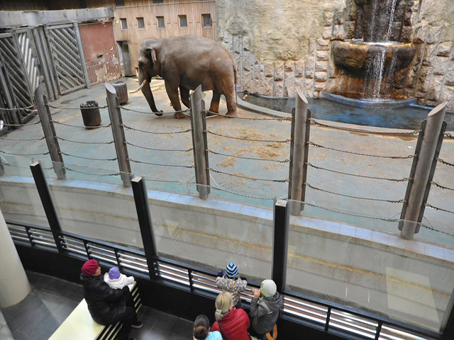 � ���������� �������� ������ ���������� �������� �������