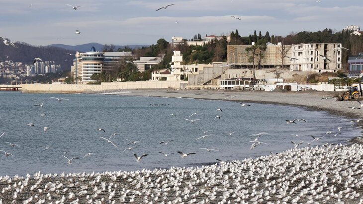 � ��� �������� � �������������� � ����