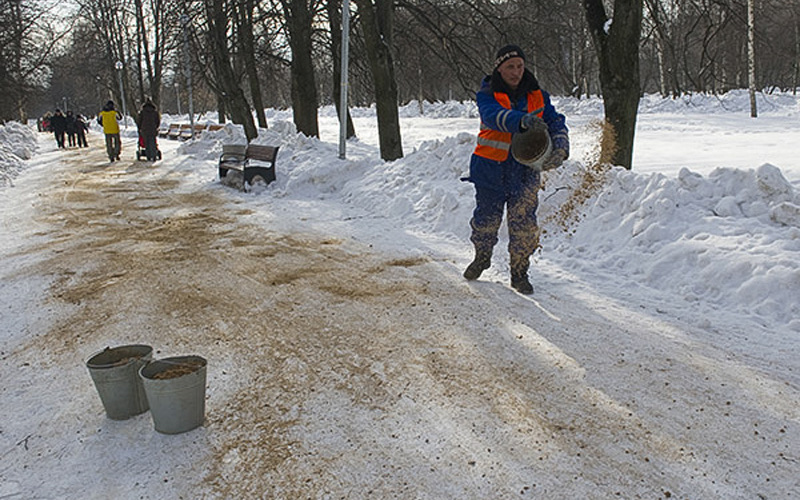 ����: � ������ �������� ������� ������������ ���� �� ������ � �������� ������������� �� �����������