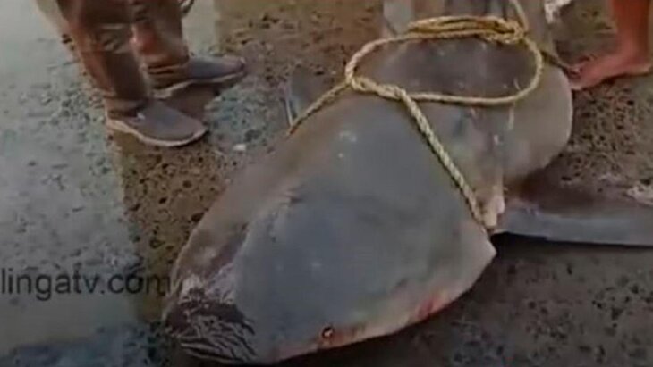 � ����� ������ �������� � ������� �������� ����� �� 100 ��� ���