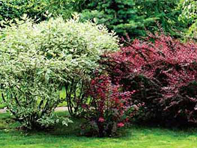 �� ���������� ������������� ������� �������� ��������������� ��� �������� ������� ������ ����������� ���������