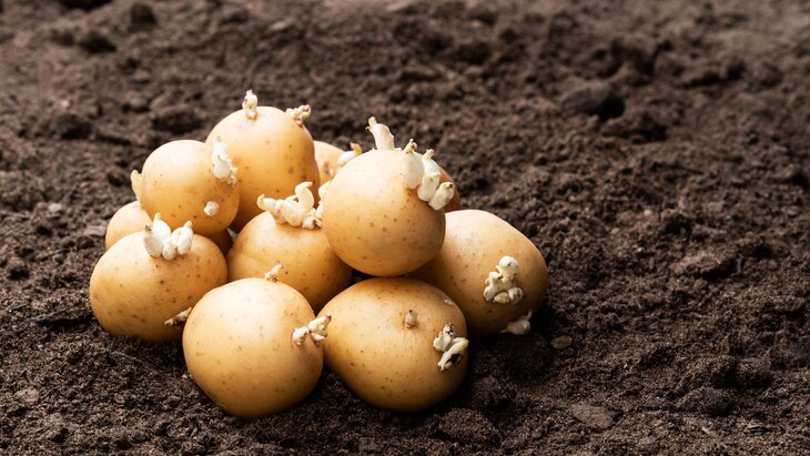 ������� ���������, ��� ����������� ��������� � �������