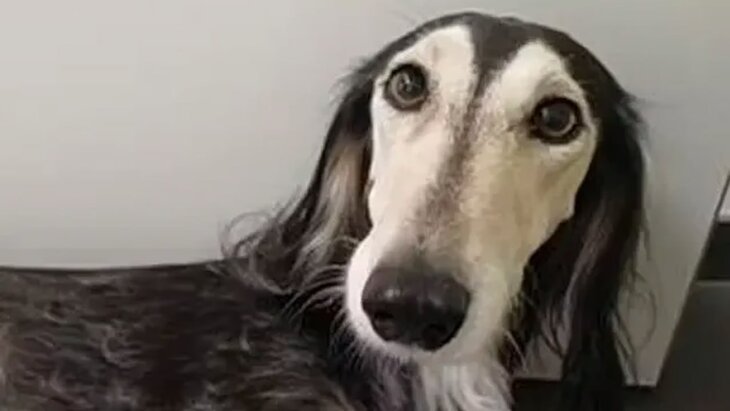 � ������� ������ ��������� 12 ���������� ��-�� ������ �������