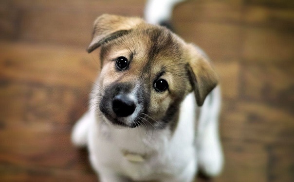 ������ ��������� �������� � ���������� ��������� ������