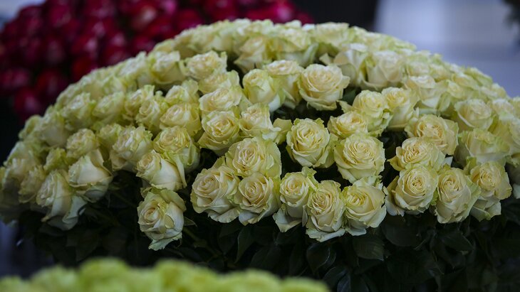 ������� ����������, ��� ��������� ������� ����� �� 8 �����