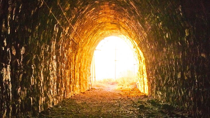 � ������������ ������� ����� 14 ����������� �������� ��� ���������� ����������