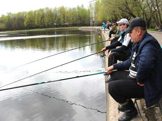 ������� ������� ������������� ����� ������ �� ��������� �������