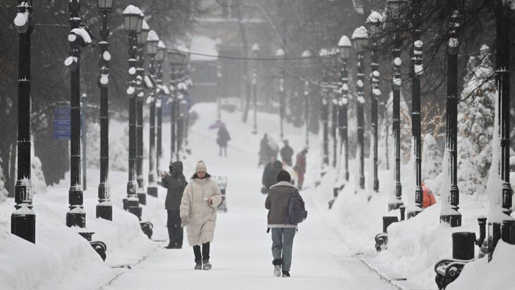 � ������ ������ 2026 ���� ���� ����� ������� �� ��� ��������