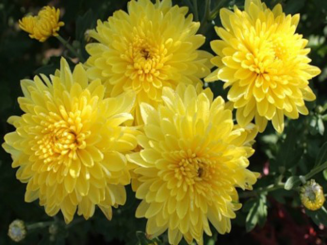 ����������� �������� � 1 �������� ����� 200 ����� ���������, ��� � �����������