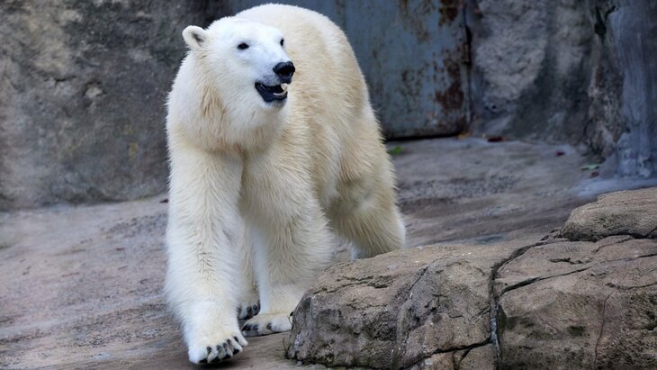 �������� ����� ������ ��������� �� ����� � ����� ���������� �� ����������� ��������