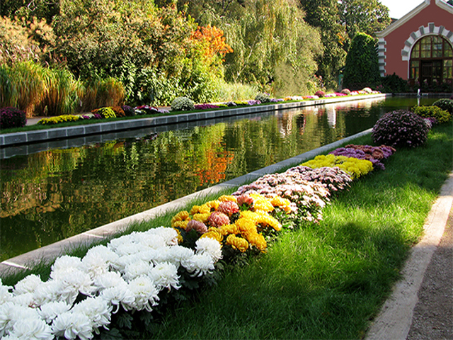 ���������� ��������� �������� ���� �������� ������������ ������