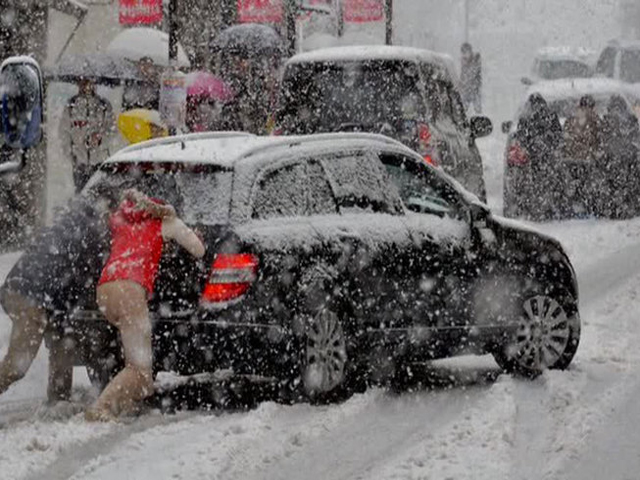 ����������� �������� ����������� ��������������