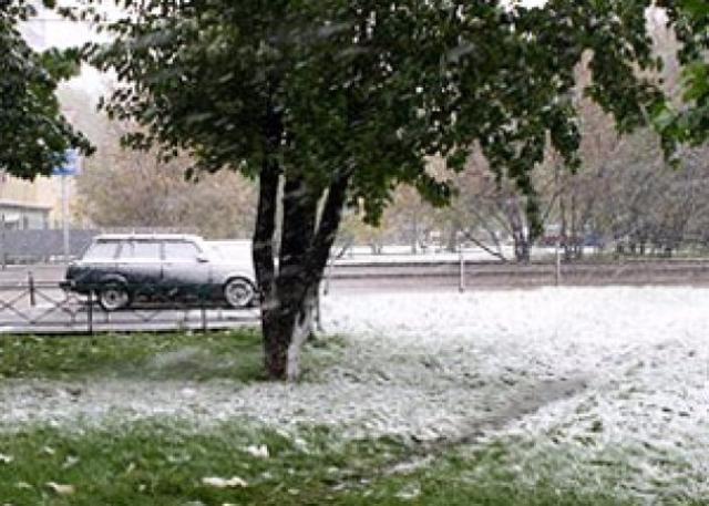 70 % �������� ����� ������� ������ � ������� �� ��������� 36 �����