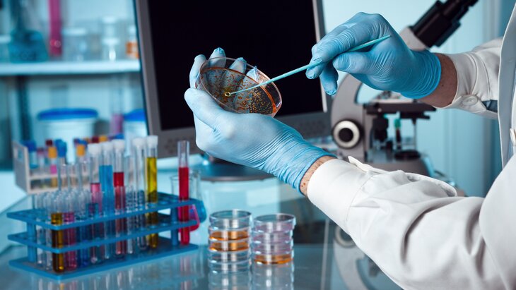 �������� ������� ��������� �������� �������� ������ � ���������������� ������ ����