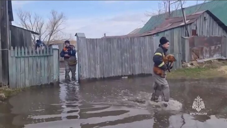 � ���������� ������� ���������� 2 090 ����� �����