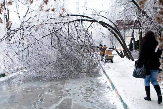 ��������� ������ ������������ ��� ��� ������ ���������� ������ � ������� �����