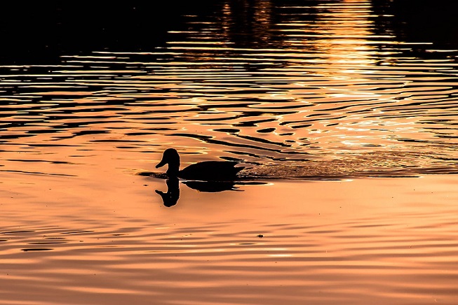 ������������� ����� ��������� �� ����������� ����� ��������� ������ ������������