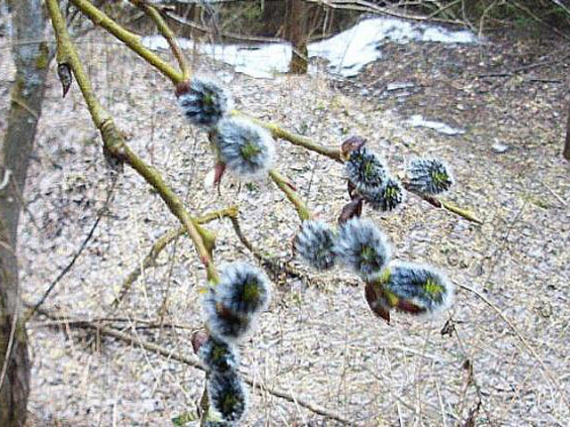 ���������� ������ ������ ��������� ������������� ������