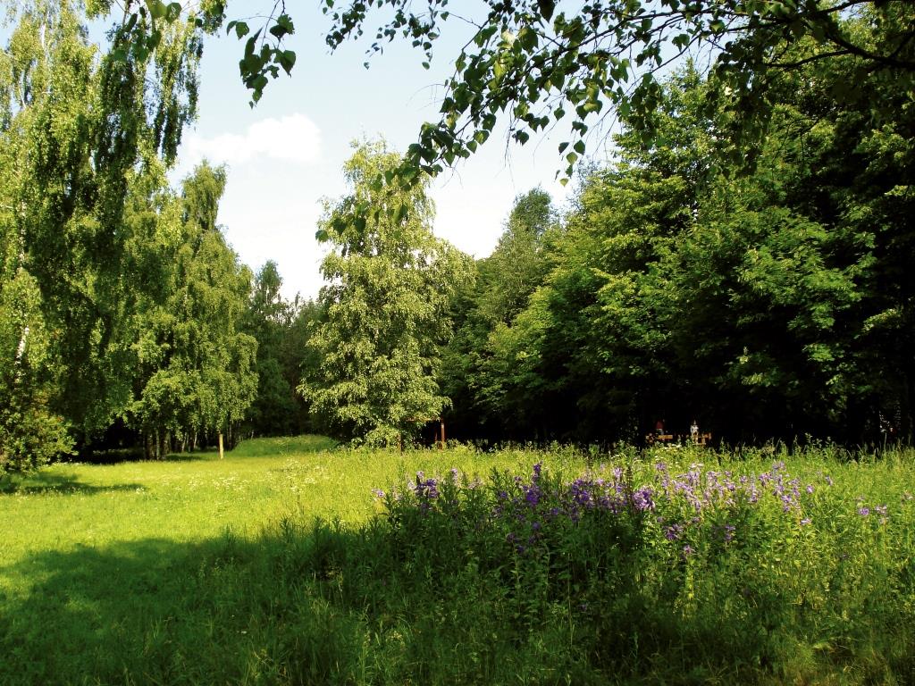 � ����� �� ���-������ ������ ������� ������������� ���������