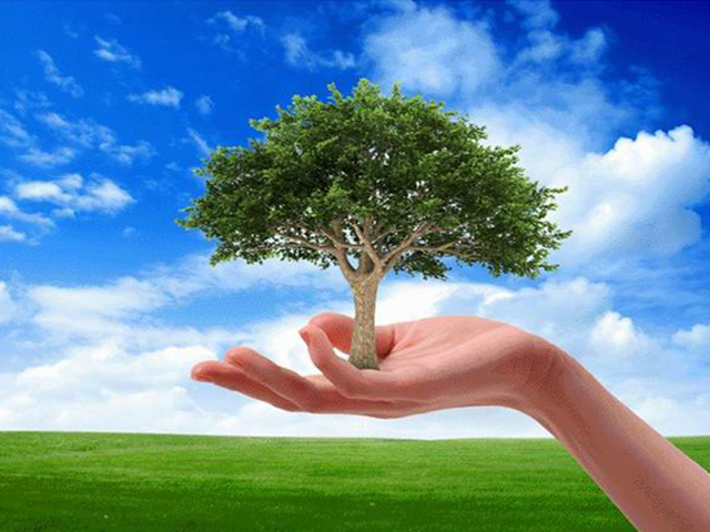 � ������ 4 ���� �������� ������������� ��� �������� � �������