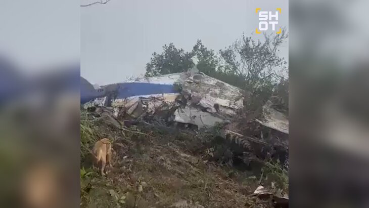 ������������ ������� �������� � ��������, �������� ���