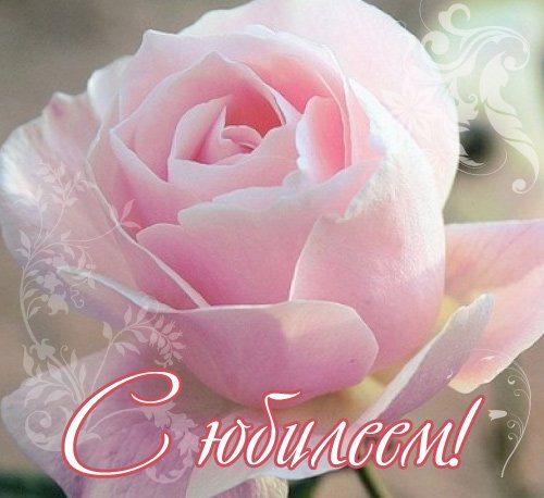 ������������ ������� ������������� ������ � �������