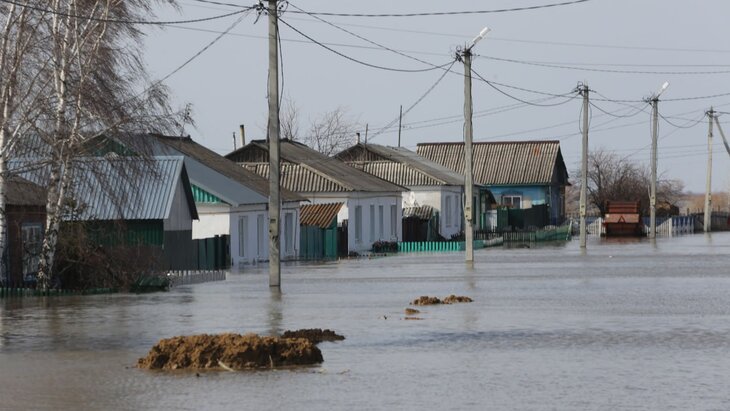 ������� ���� � ���� � ���������� ����� �������� �� 1 006 �����������