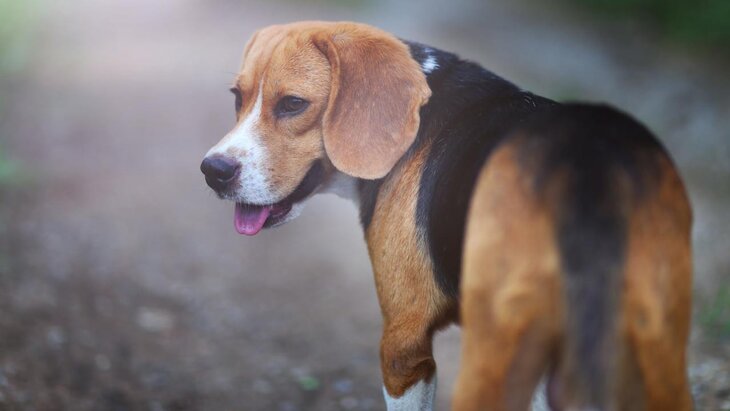 � ������� ���������� ������ ��������� ��������������� �� ��������� �����