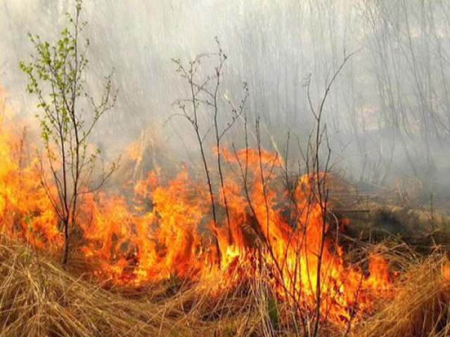 ��� ����� �������� ��������� �������� ������ ���������  ������������ � ���������