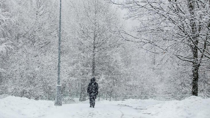 ��� ������� �������� �������� ����� ������� � ������