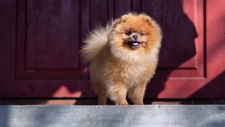 ������ ������� ������ �����, ������� ������ ������ ������