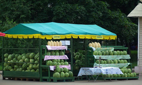 ������ ��������� � �������