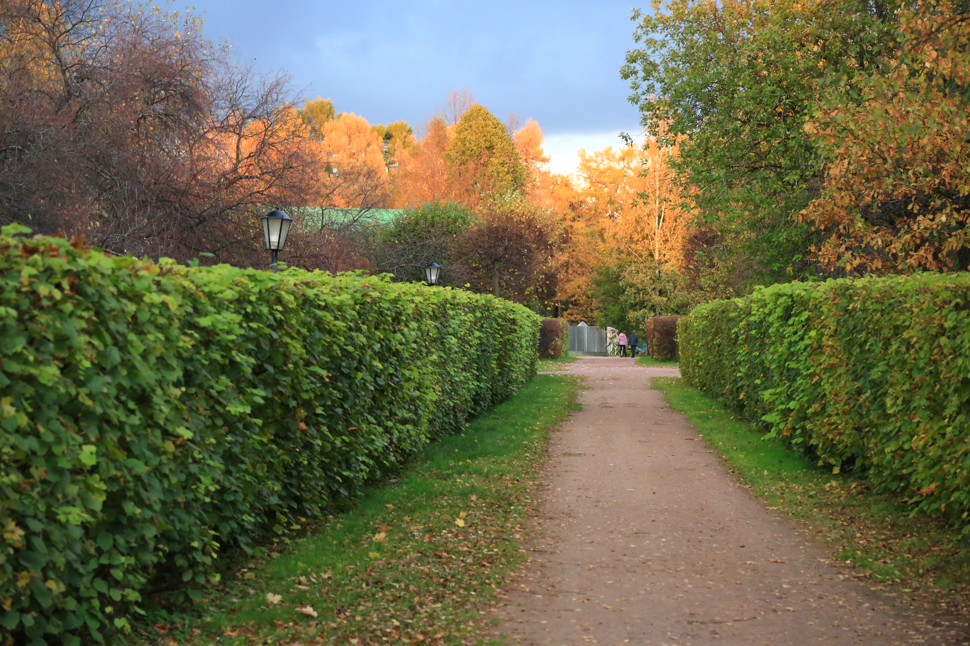 ������ ������ ������ ������� � ������ �������� �� �������� ��������� ��������� ��������� ��������  