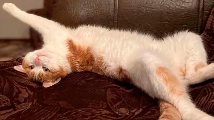 ��������� ���� � ������ ���� ������ ����������