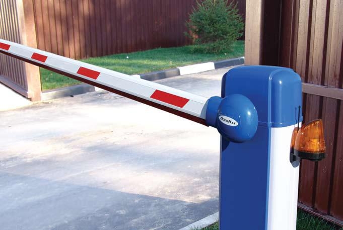 ������������ ��������