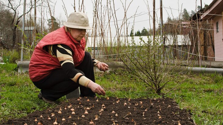 �������� ��������� � ������ ���������� ������� � ����� ����������� � ��������