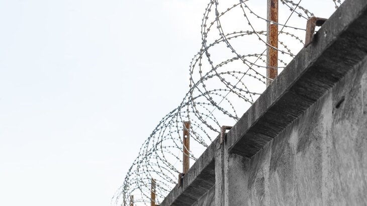 �� ���� ���������� ���������� �� ��� "������� ������", �������� 11 �������