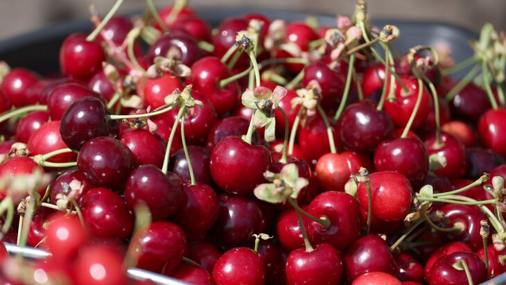 ���������� ������� � ����������� ������ ������� � �� � 2024 ����