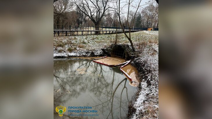 ����������� ������ �������� ����� ����������� ����