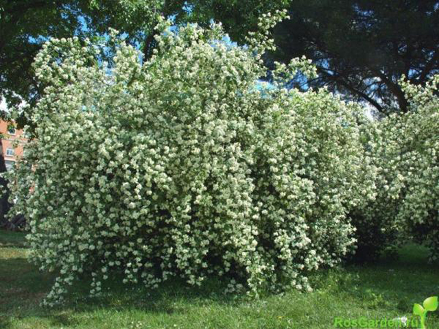 � ��� �������� �������� ��������!