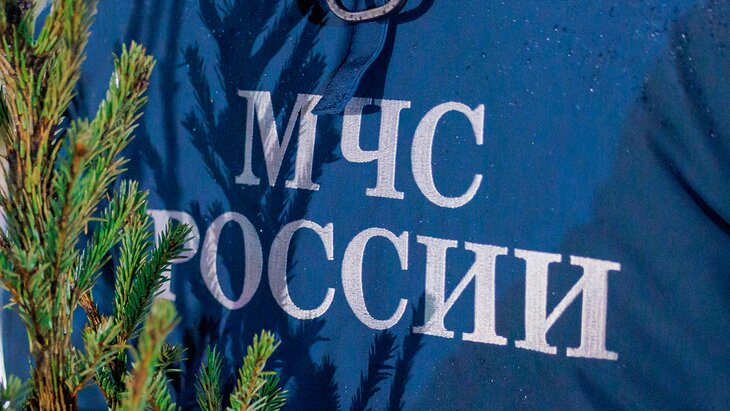 ����� ���������� �� ������ � ��������