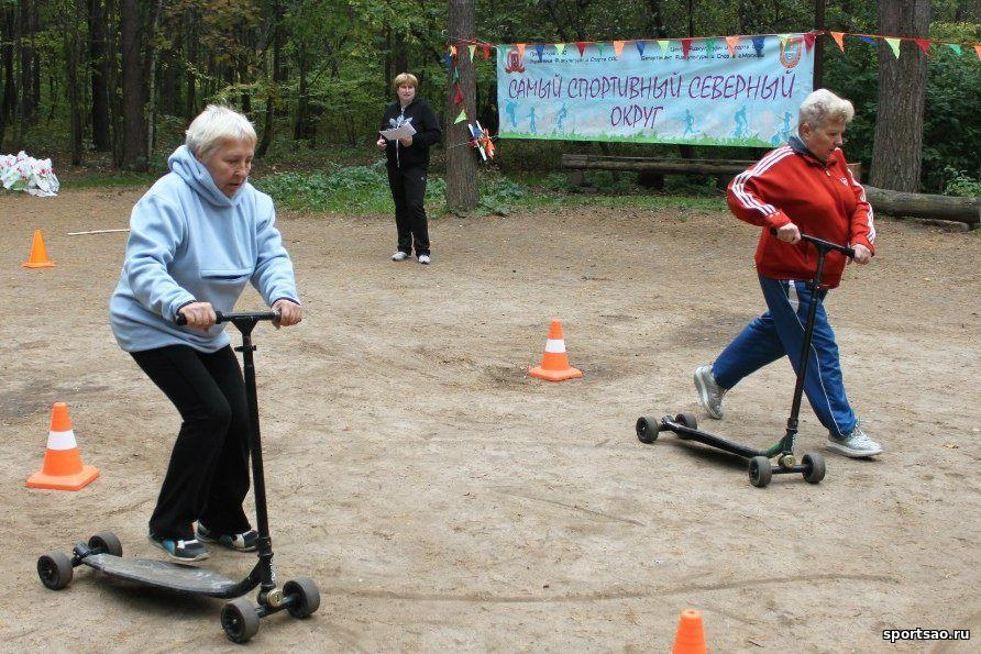 � ������������ ������ �������� ���������� ��������, ����������� ��� �������� ��������