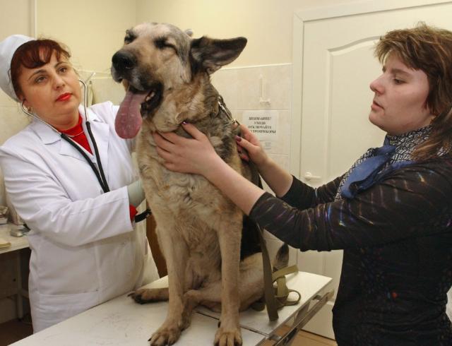 � ���� �������� �������� �� ���������