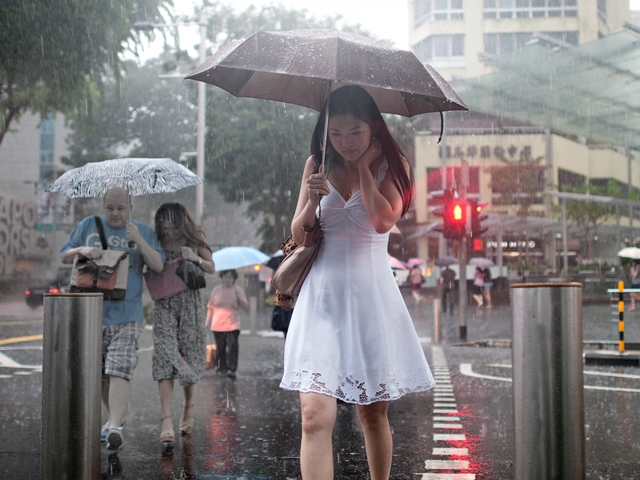 ����� �������, �������� � ������ �� ����, �� 43 �������� �������� �����