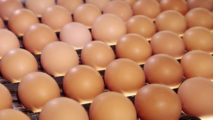 ������������ "��������" ������������� �������� ��� � ���